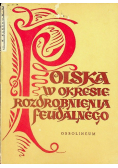 Polska w okresie rozdrobnienia feudalnego