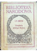 Cierpienie młodego Wertera
