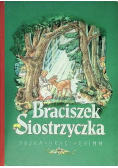 Braciszek Siostrzyczka