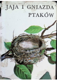 Jaja i gniazda ptaków