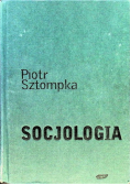 Socjologia Analiza społeczeństwa