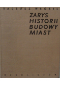 Zarys historii budowy miast