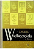 Dzieje Wielkopolski w wypisach