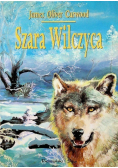Szara wilczyca