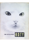 Koty