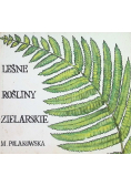 Leśne rośliny zielarskie