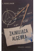 Zajmująca algebra