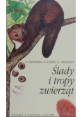 Ślady i tropy zwierząt