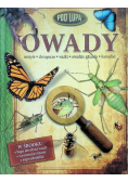 Pod lupą  Owady