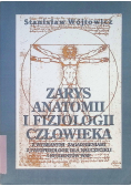 Zarys anatomii i fizjologii człowieka