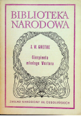 Cierpienia młodego Wertera