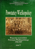 Powstańcy Wielkopolscy Tom V