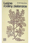 Leśne rośliny zielarskie