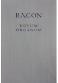 Bacon