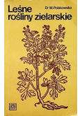 Leśne rośliny zielarskie
