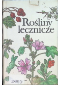 Rośliny lecznicze