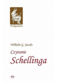 Czytanie Schellinga