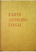Zarys Antropologii