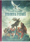 Cudowna podróż