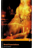 Great Expectations