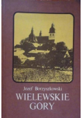 Wielewskie Góry