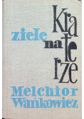 Ziele na kraterze