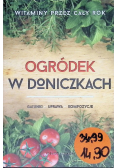 Ogródek w doniczkach
