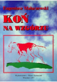 Koń na wzgórzu