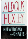 Niewidomy w Ghazie