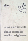 Dziko rosnące rośliny użytkowe