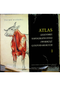 Atlas Anatomii topograficznej zwierząt gospodarskich Tom I