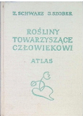 Rośliny towarzyszące człowiekowi