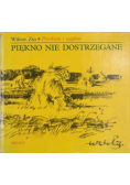 Piękno nie dostrzegane