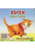 Kotek