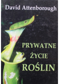 Prywatne życie roślin