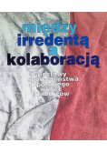Między irredentą a kolaboracją