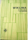 Wiklina uprawa i przerób