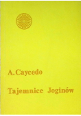 Tajemnice Joginów