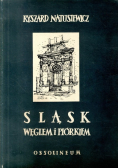 Śląsk węglem i piórkiem