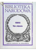 Wojna peloponeska