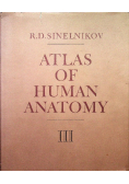 Atlas of human anatomy Volume III