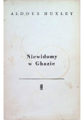 Niewidomy w Ghazie