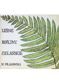 Leśne rośliny zielarskie