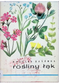 Rośliny łąk
