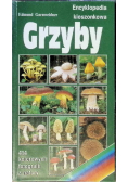 Encyklopedia kieszonkowa Grzyby