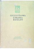 Szczegółowa uprawa roślin