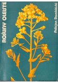 Rośliny oleiste