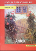 Antek