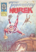 Tajemniczy Nurek