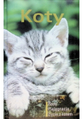 Koty Rasy pielęgnacja życie z kotem